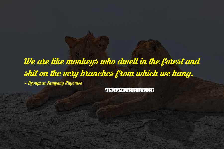 Dzongsar Jamyang Khyentse Quotes: We are like monkeys who dwell in the forest and shit on the very branches from which we hang.