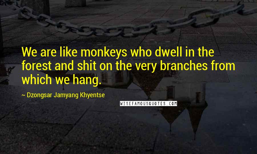 Dzongsar Jamyang Khyentse Quotes: We are like monkeys who dwell in the forest and shit on the very branches from which we hang.