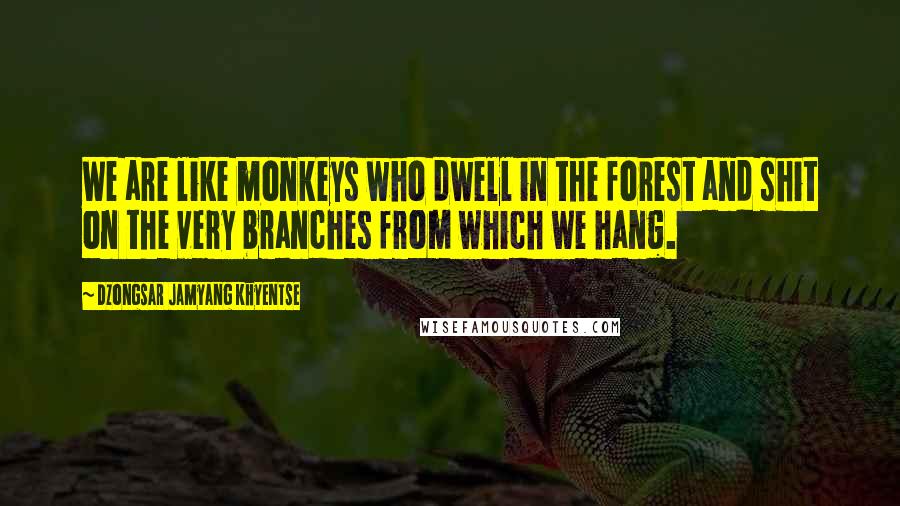 Dzongsar Jamyang Khyentse Quotes: We are like monkeys who dwell in the forest and shit on the very branches from which we hang.