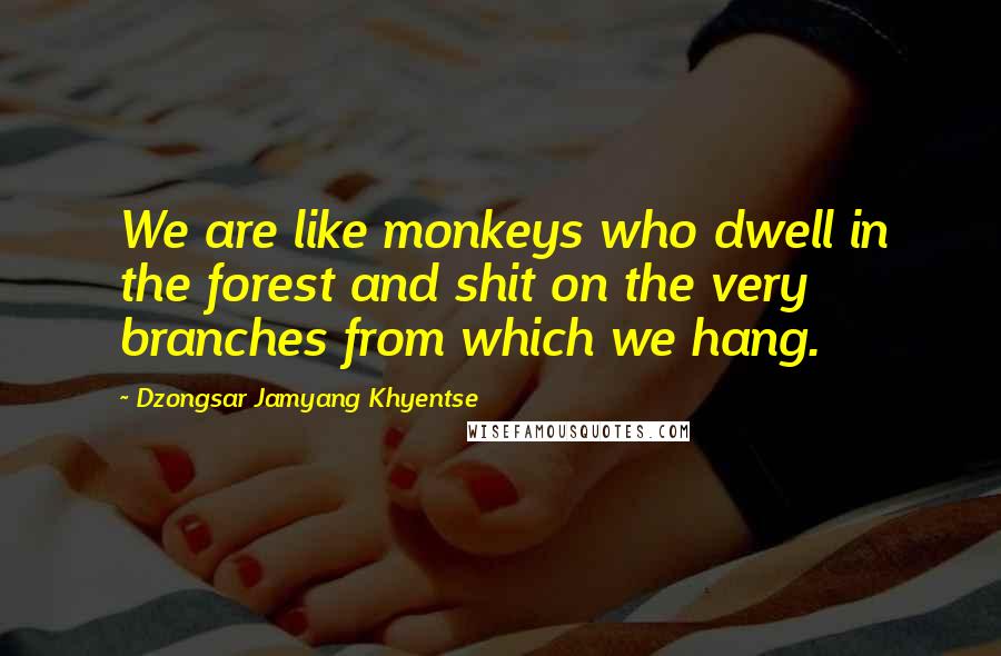 Dzongsar Jamyang Khyentse Quotes: We are like monkeys who dwell in the forest and shit on the very branches from which we hang.