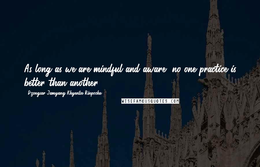 Dzongsar Jamyang Khyentse Rinpoche Quotes: As long as we are mindful and aware, no one practice is better than another.