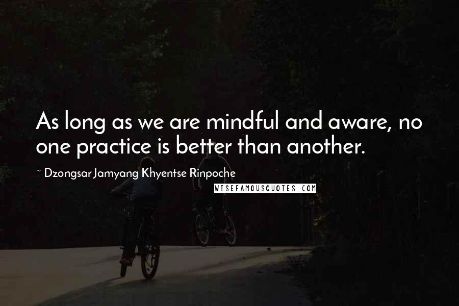 Dzongsar Jamyang Khyentse Rinpoche Quotes: As long as we are mindful and aware, no one practice is better than another.