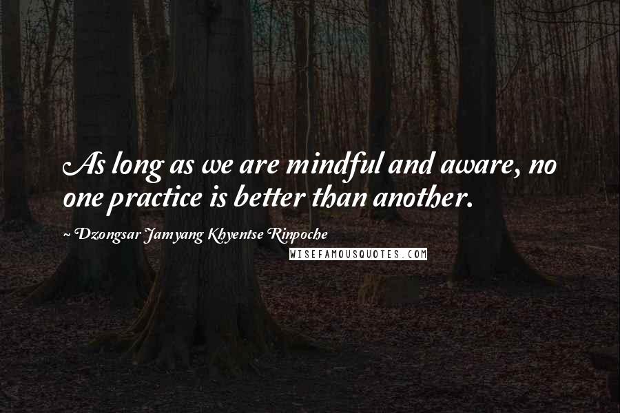 Dzongsar Jamyang Khyentse Rinpoche Quotes: As long as we are mindful and aware, no one practice is better than another.