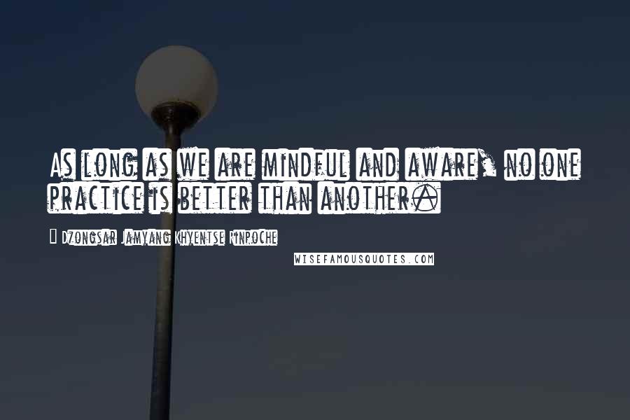 Dzongsar Jamyang Khyentse Rinpoche Quotes: As long as we are mindful and aware, no one practice is better than another.