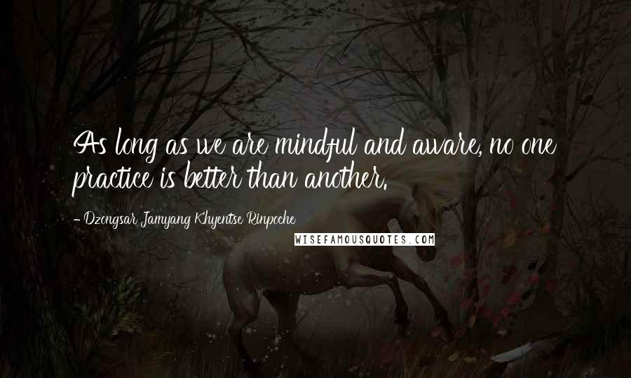 Dzongsar Jamyang Khyentse Rinpoche Quotes: As long as we are mindful and aware, no one practice is better than another.