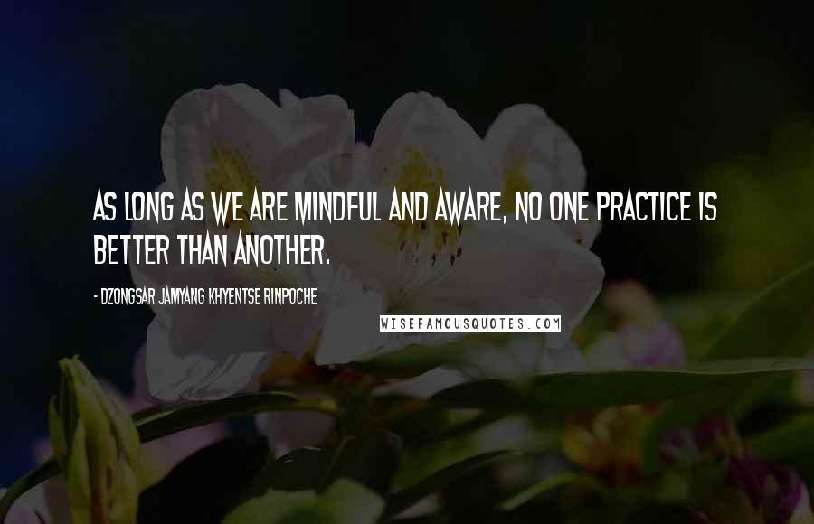 Dzongsar Jamyang Khyentse Rinpoche Quotes: As long as we are mindful and aware, no one practice is better than another.