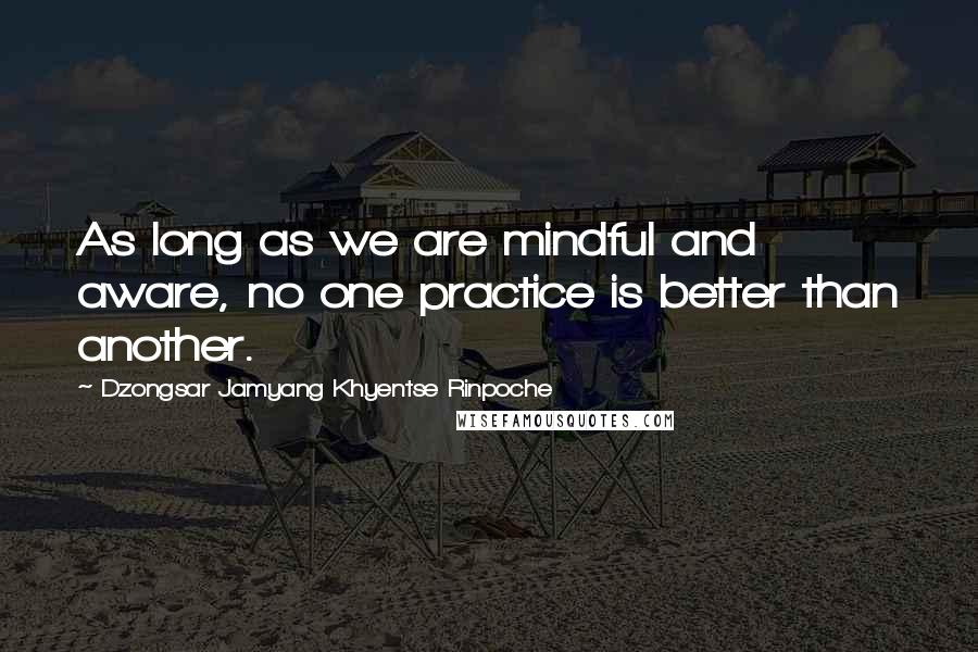 Dzongsar Jamyang Khyentse Rinpoche Quotes: As long as we are mindful and aware, no one practice is better than another.
