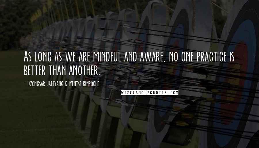 Dzongsar Jamyang Khyentse Rinpoche Quotes: As long as we are mindful and aware, no one practice is better than another.