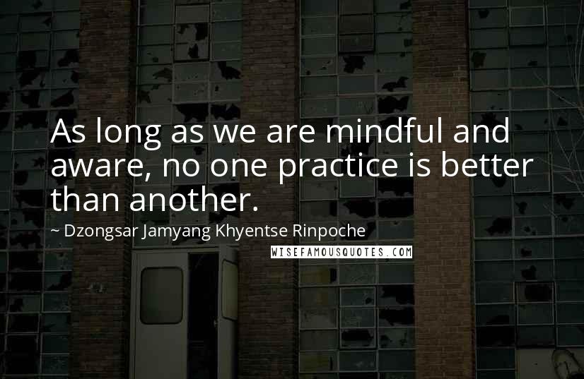 Dzongsar Jamyang Khyentse Rinpoche Quotes: As long as we are mindful and aware, no one practice is better than another.