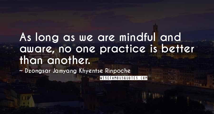 Dzongsar Jamyang Khyentse Rinpoche Quotes: As long as we are mindful and aware, no one practice is better than another.