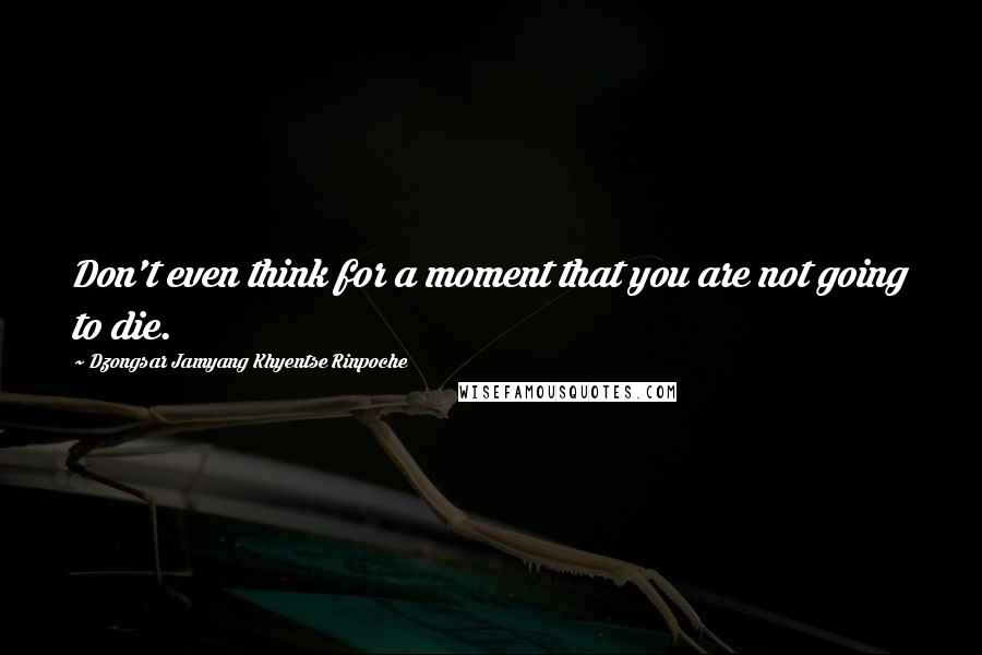 Dzongsar Jamyang Khyentse Rinpoche Quotes: Don't even think for a moment that you are not going to die.