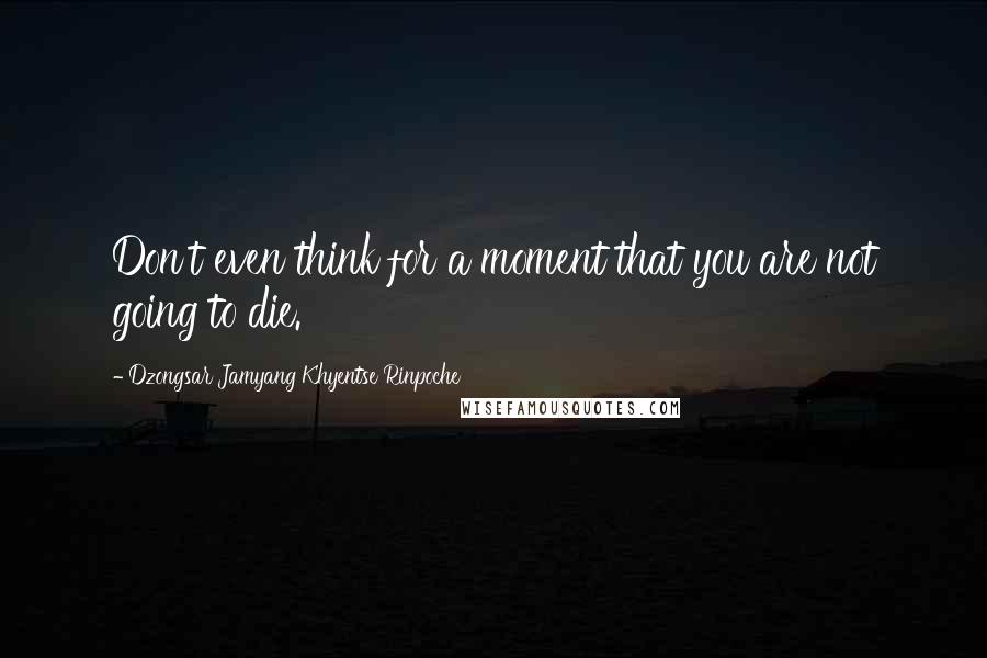 Dzongsar Jamyang Khyentse Rinpoche Quotes: Don't even think for a moment that you are not going to die.