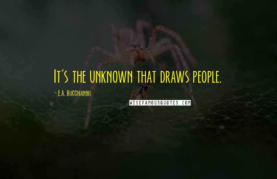 E.A. Bucchianeri Quotes: It's the unknown that draws people.