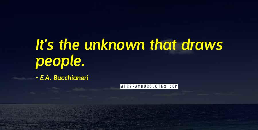 E.A. Bucchianeri Quotes: It's the unknown that draws people.