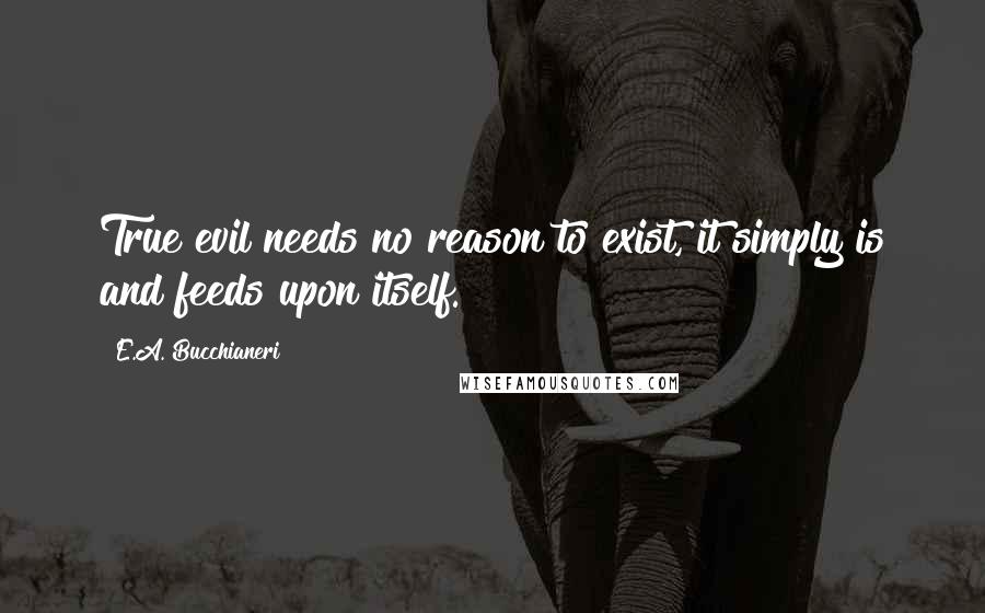 E.A. Bucchianeri Quotes: True evil needs no reason to exist, it simply is and feeds upon itself.