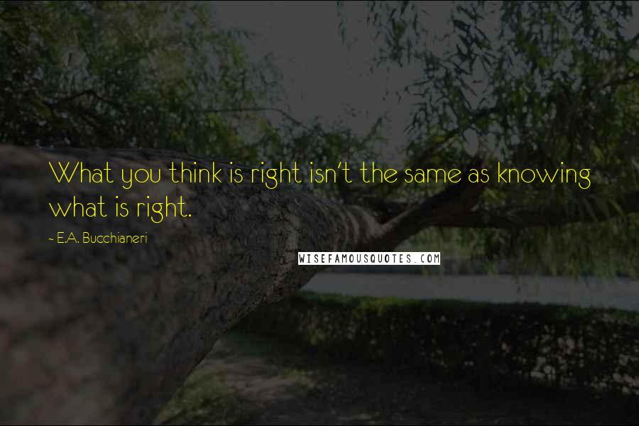E.A. Bucchianeri Quotes: What you think is right isn't the same as knowing what is right.