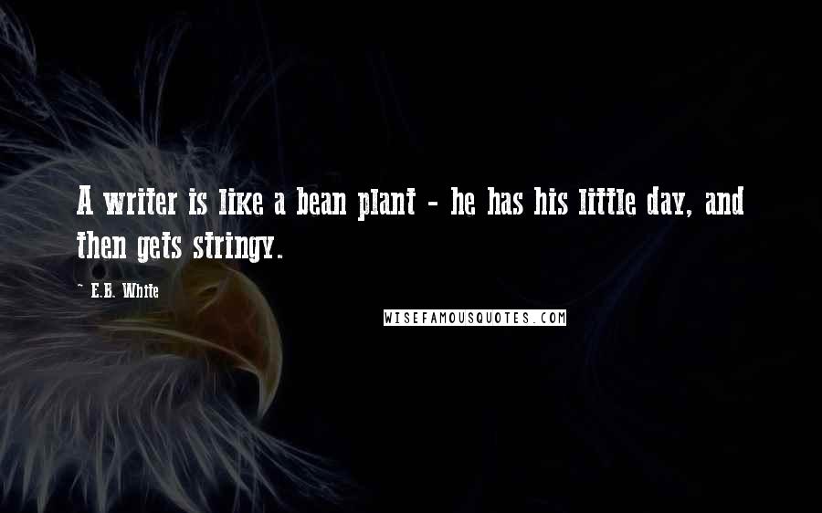 E.B. White Quotes: A writer is like a bean plant - he has his little day, and then gets stringy.