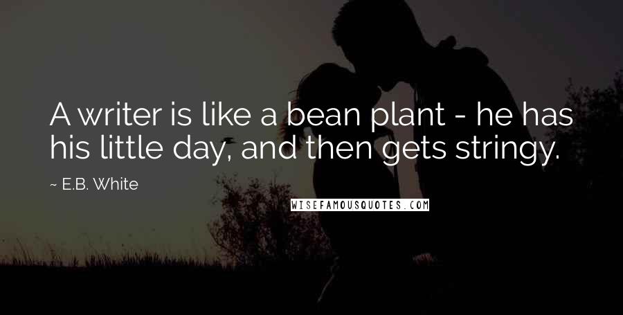 E.B. White Quotes: A writer is like a bean plant - he has his little day, and then gets stringy.