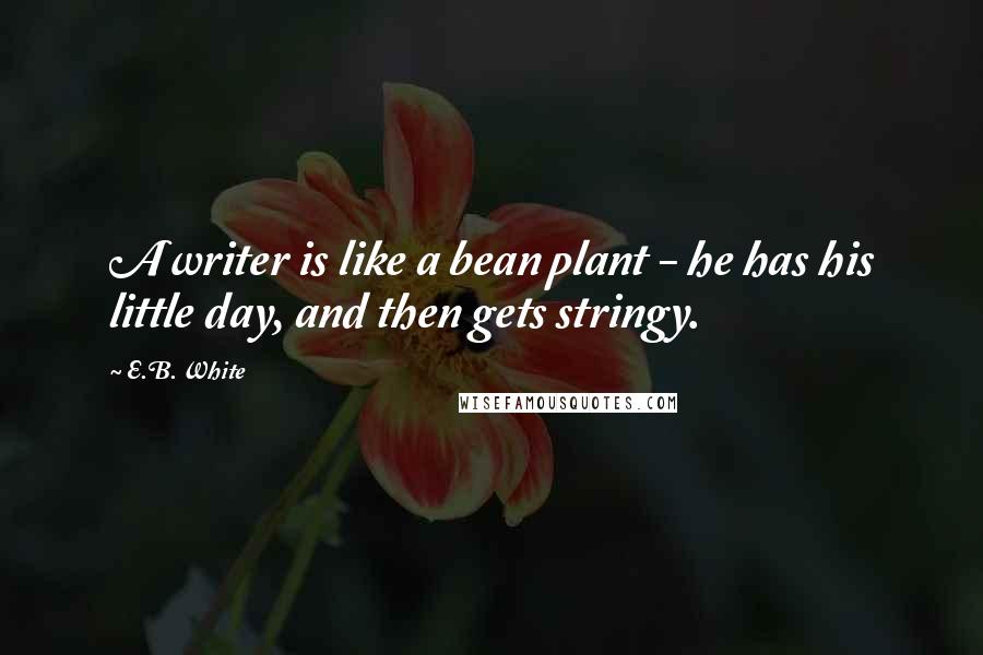 E.B. White Quotes: A writer is like a bean plant - he has his little day, and then gets stringy.