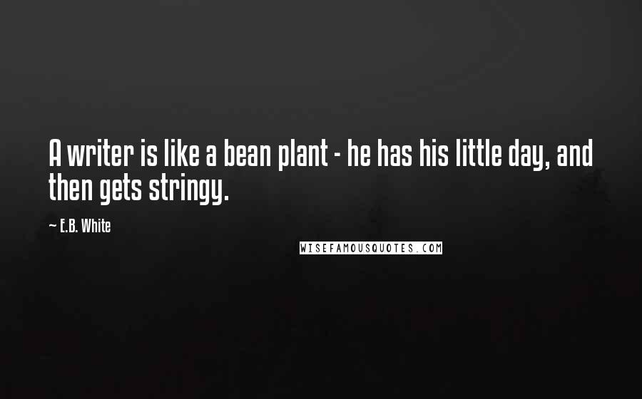 E.B. White Quotes: A writer is like a bean plant - he has his little day, and then gets stringy.