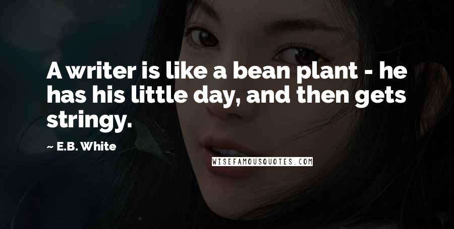 E.B. White Quotes: A writer is like a bean plant - he has his little day, and then gets stringy.