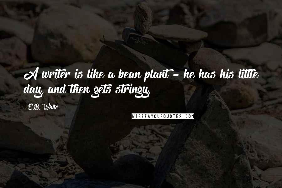 E.B. White Quotes: A writer is like a bean plant - he has his little day, and then gets stringy.