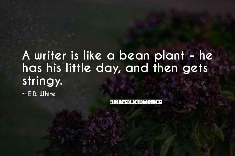E.B. White Quotes: A writer is like a bean plant - he has his little day, and then gets stringy.