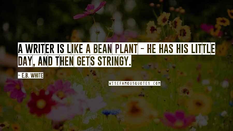 E.B. White Quotes: A writer is like a bean plant - he has his little day, and then gets stringy.