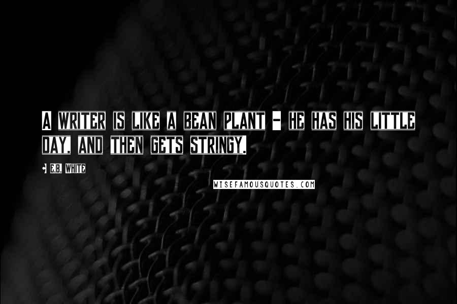 E.B. White Quotes: A writer is like a bean plant - he has his little day, and then gets stringy.