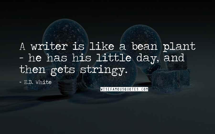 E.B. White Quotes: A writer is like a bean plant - he has his little day, and then gets stringy.