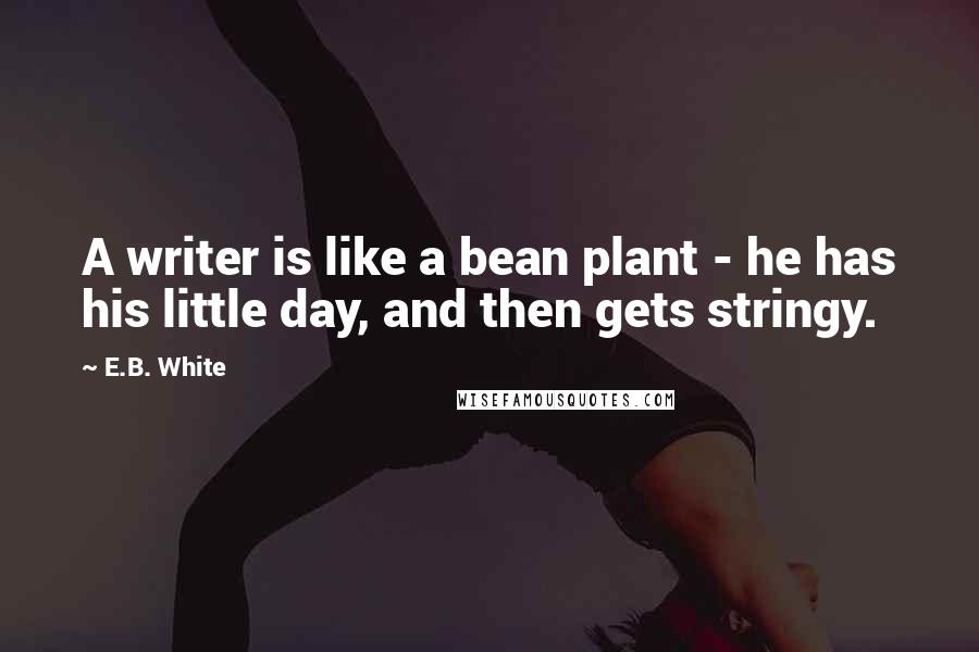 E.B. White Quotes: A writer is like a bean plant - he has his little day, and then gets stringy.