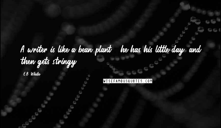 E.B. White Quotes: A writer is like a bean plant - he has his little day, and then gets stringy.