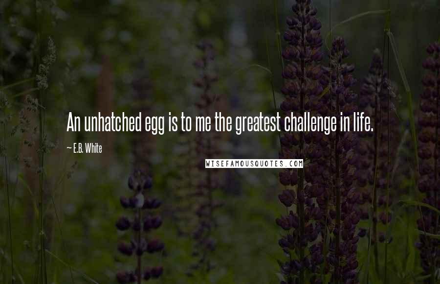 E.B. White Quotes: An unhatched egg is to me the greatest challenge in life.