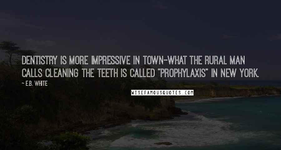 E.B. White Quotes: Dentistry is more impressive in town-what the rural man calls cleaning the teeth is called "prophylaxis" in New York.