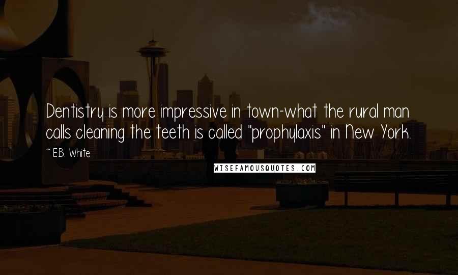 E.B. White Quotes: Dentistry is more impressive in town-what the rural man calls cleaning the teeth is called "prophylaxis" in New York.