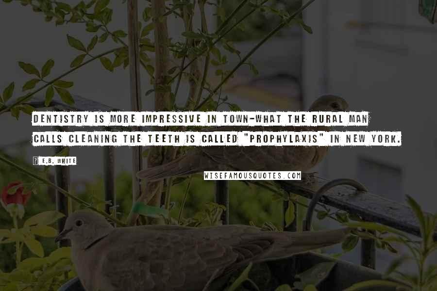 E.B. White Quotes: Dentistry is more impressive in town-what the rural man calls cleaning the teeth is called "prophylaxis" in New York.