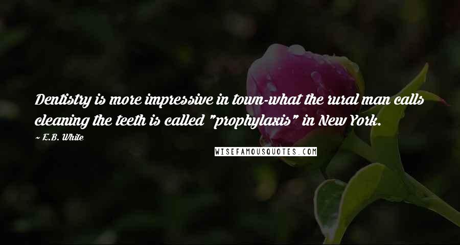 E.B. White Quotes: Dentistry is more impressive in town-what the rural man calls cleaning the teeth is called "prophylaxis" in New York.