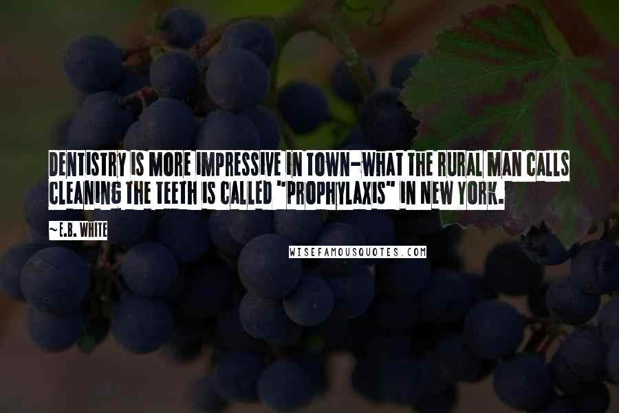 E.B. White Quotes: Dentistry is more impressive in town-what the rural man calls cleaning the teeth is called "prophylaxis" in New York.