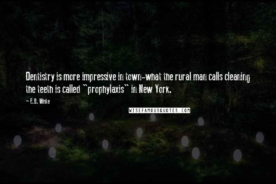 E.B. White Quotes: Dentistry is more impressive in town-what the rural man calls cleaning the teeth is called "prophylaxis" in New York.