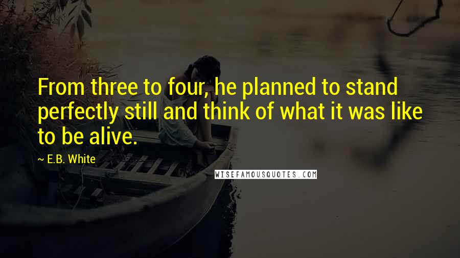 E.B. White Quotes: From three to four, he planned to stand perfectly still and think of what it was like to be alive.
