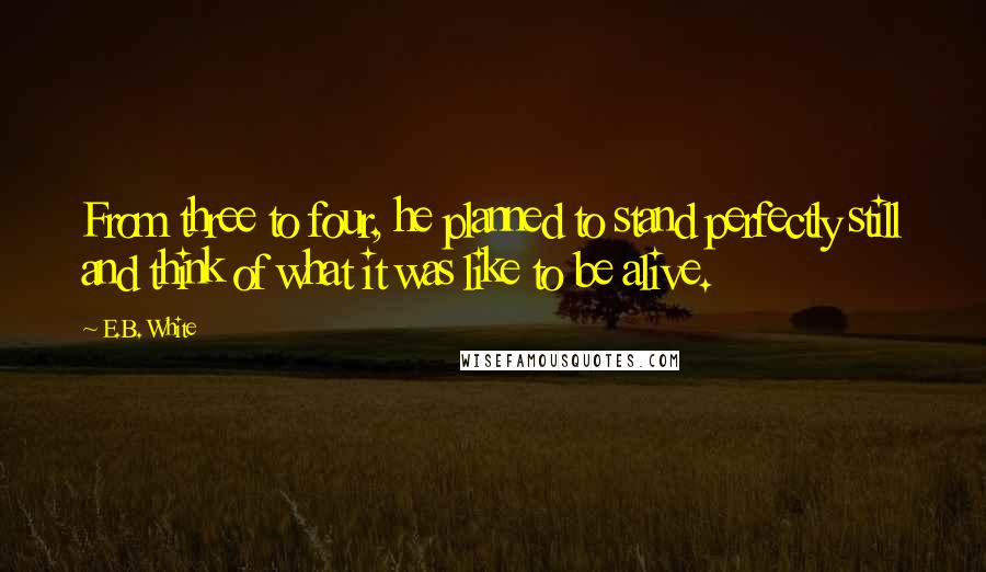 E.B. White Quotes: From three to four, he planned to stand perfectly still and think of what it was like to be alive.