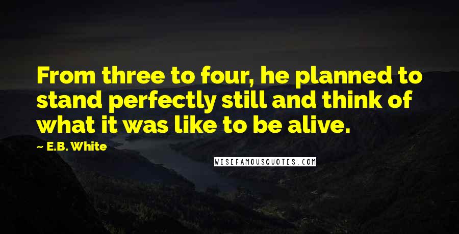 E.B. White Quotes: From three to four, he planned to stand perfectly still and think of what it was like to be alive.