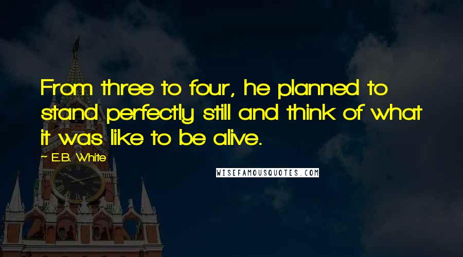 E.B. White Quotes: From three to four, he planned to stand perfectly still and think of what it was like to be alive.