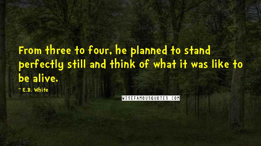 E.B. White Quotes: From three to four, he planned to stand perfectly still and think of what it was like to be alive.