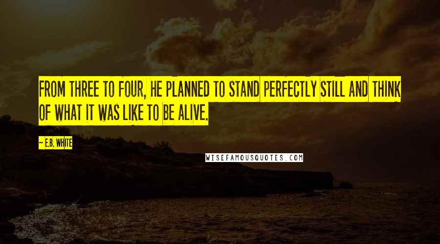 E.B. White Quotes: From three to four, he planned to stand perfectly still and think of what it was like to be alive.