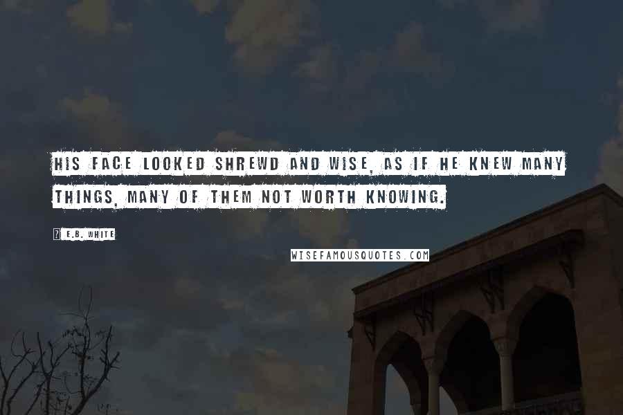 E.B. White Quotes: His face looked shrewd and wise, as if he knew many things, many of them not worth knowing.