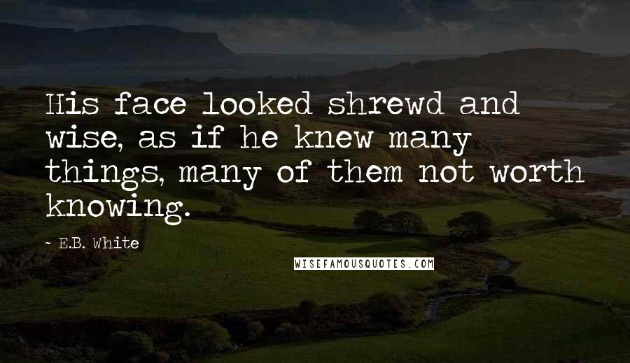 E.B. White Quotes: His face looked shrewd and wise, as if he knew many things, many of them not worth knowing.