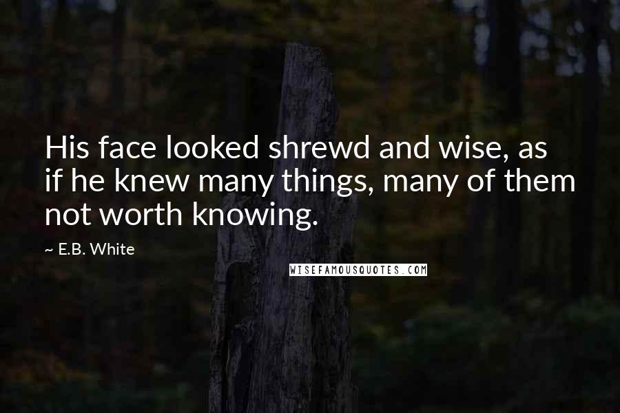 E.B. White Quotes: His face looked shrewd and wise, as if he knew many things, many of them not worth knowing.