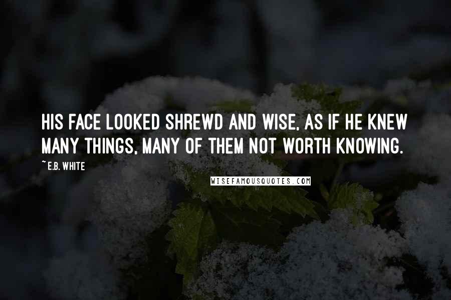 E.B. White Quotes: His face looked shrewd and wise, as if he knew many things, many of them not worth knowing.