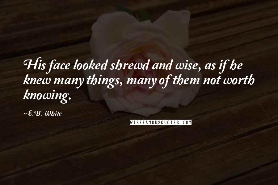 E.B. White Quotes: His face looked shrewd and wise, as if he knew many things, many of them not worth knowing.